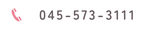 045-573-3111